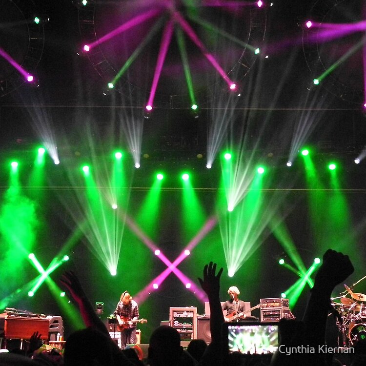 flat750x075f pad750x750f8f8f8 30 - Phish Band Merch