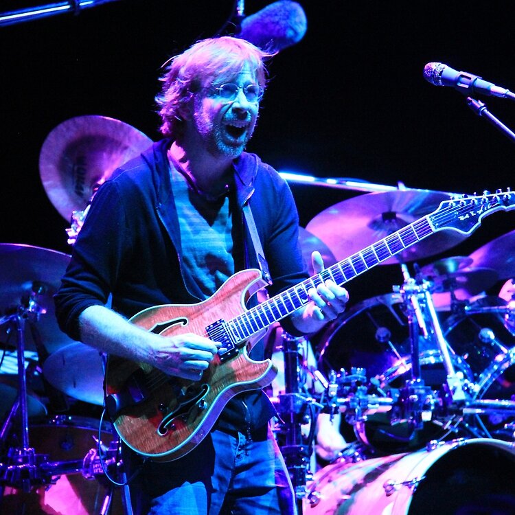 flat750x075f pad750x750f8f8f8 31 - Phish Band Merch